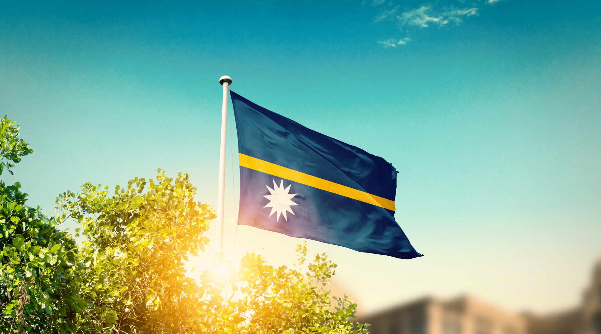 A flag of Nauru