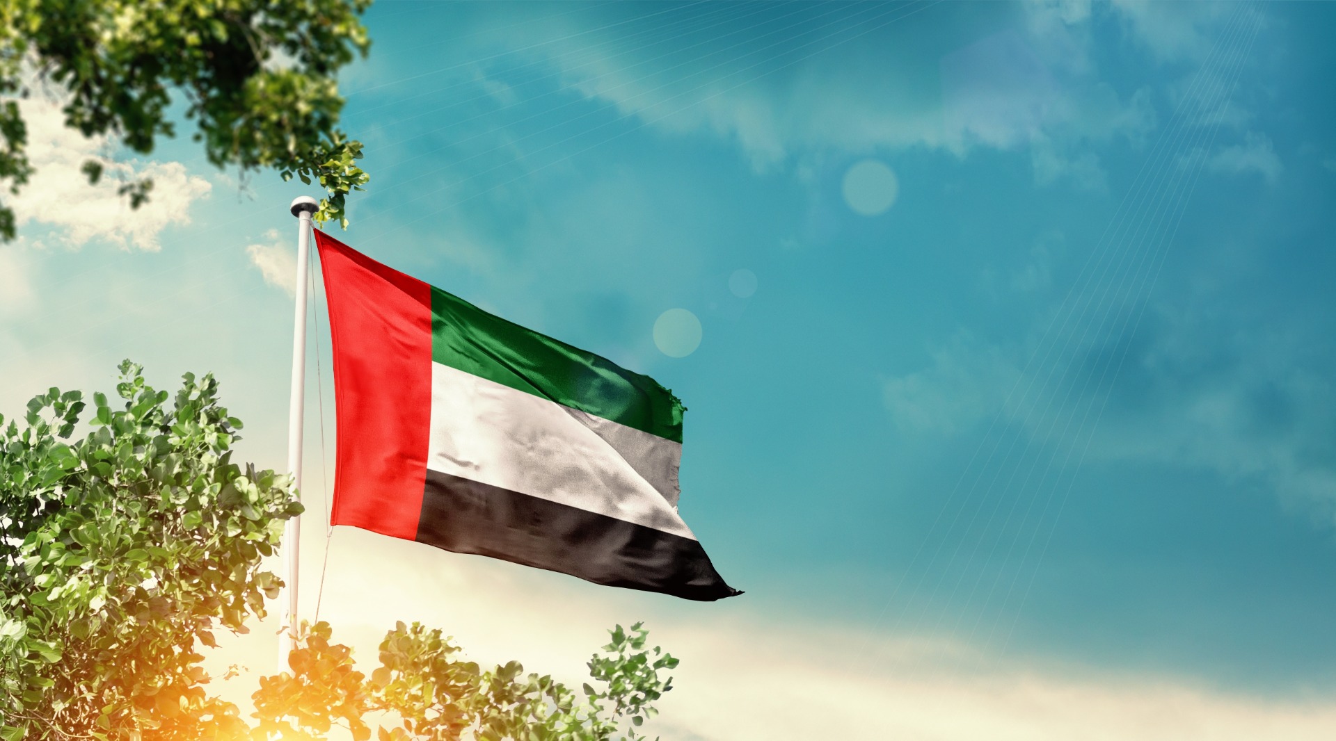 A flag of the UAE