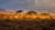 Africa