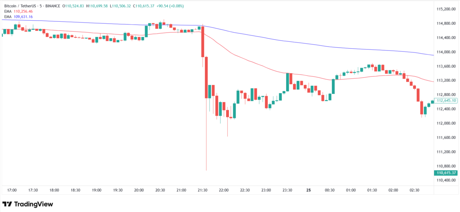 Bitcoin flash-crashed on August 24. Source: Tradingview.com
