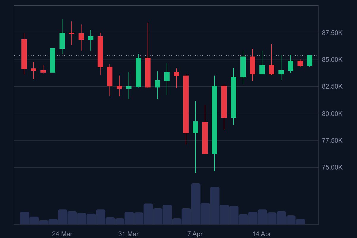 Bitcoin price today. Source: CoinMarketCap