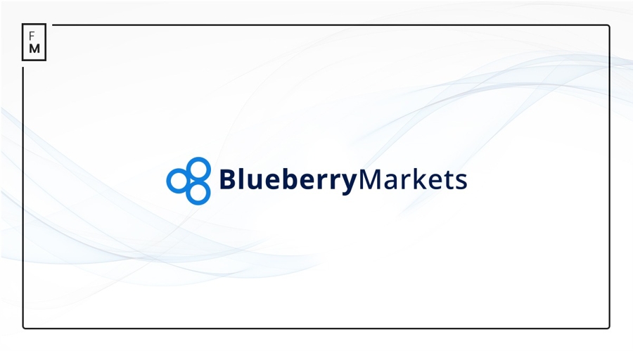 Blueberry Markets