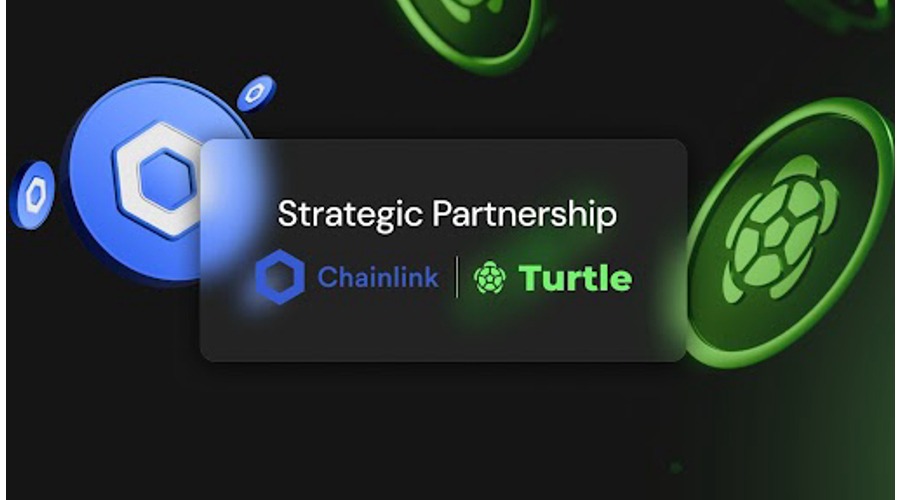 Chainlink x Turtle