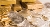 Gold and silver bullion (shutterstock)