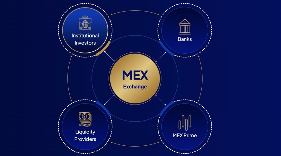 MEX Echange, website screenshot