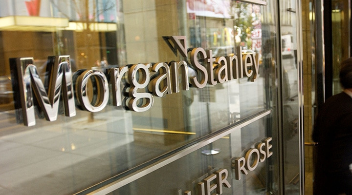 MORGAN GOLDMAN EARNS