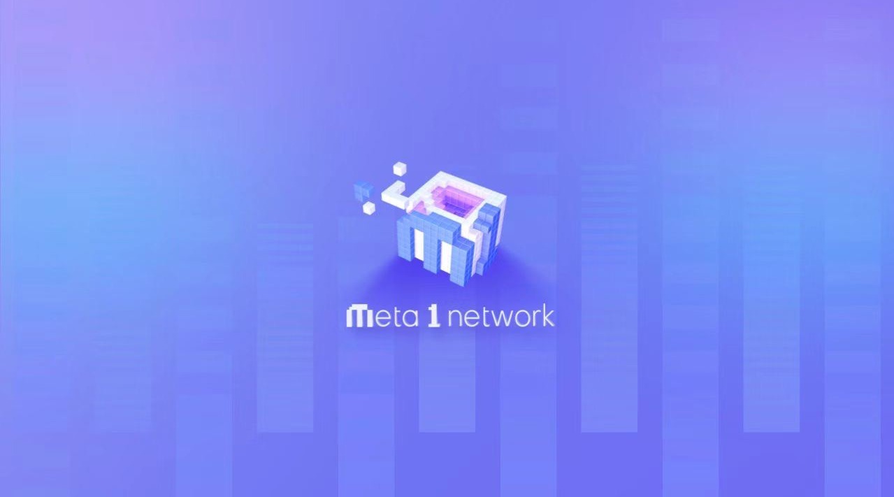 Meta 1 network