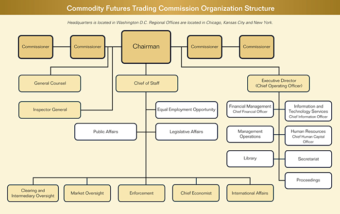 Organisation structure of the CFTC; Source: CFTC
