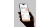 Rise launches Moments, trading market views across instruments in one tap.