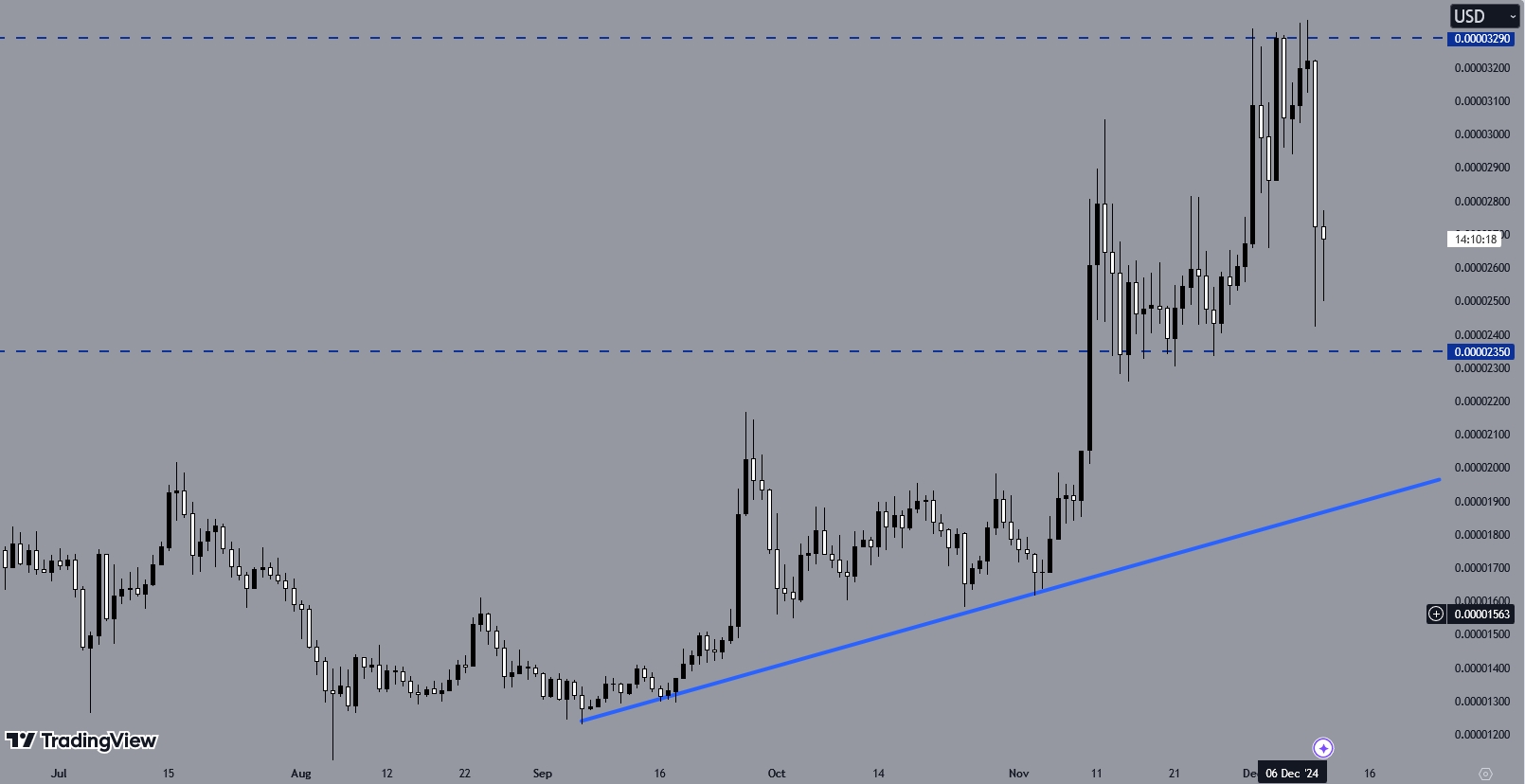 SHIBUSD- Day Chart, Source: TradingView