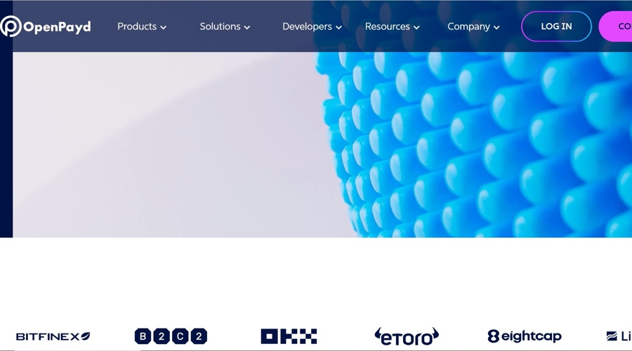 Screenshot from the OpenPayd website