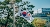 Make Money Online South Korea flag