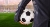 forex sponsor sports