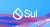 Make Money Online Sui