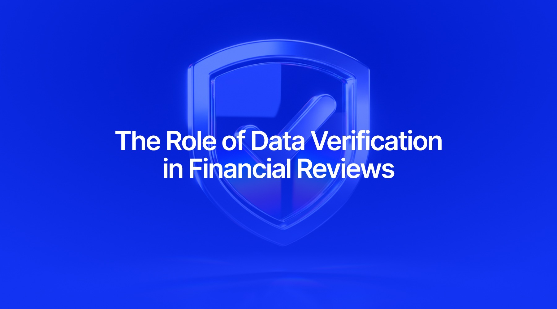 The Role of Data Verification in Financial Reviews