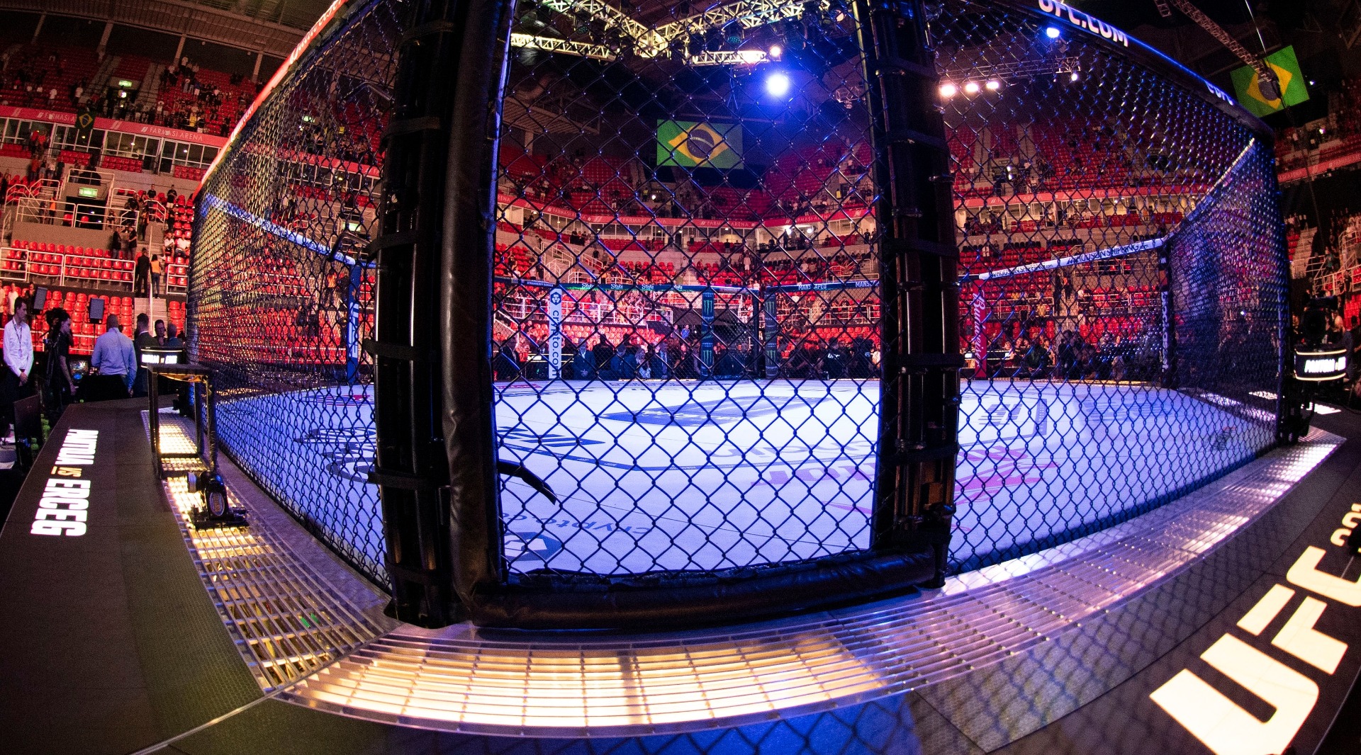 UFC's iconic Octagon ring