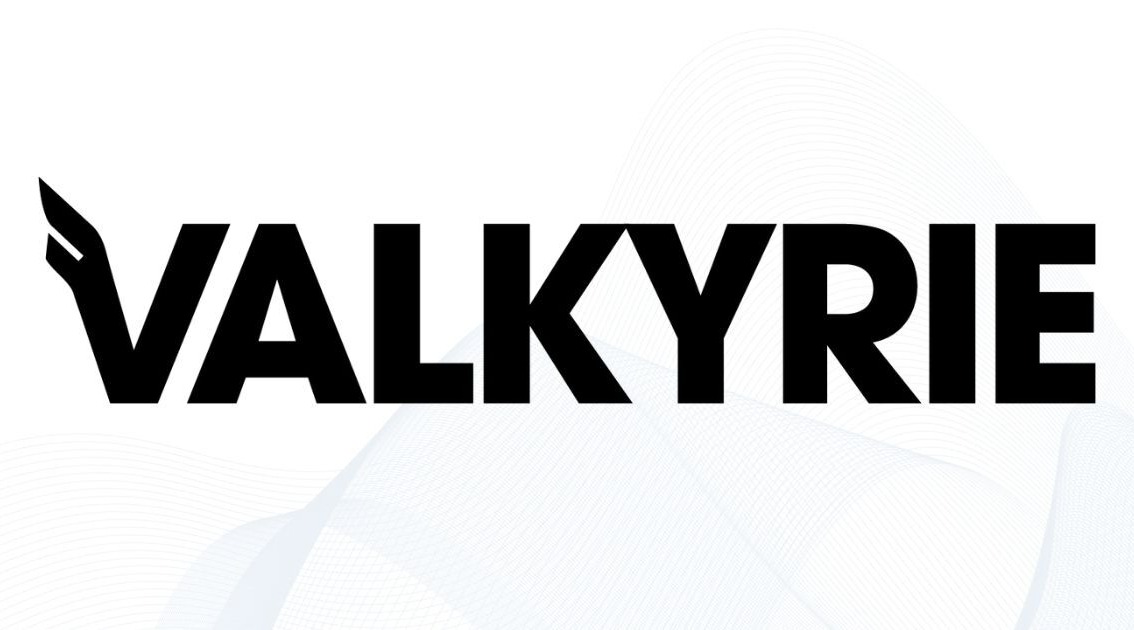 Valkyrie's logo