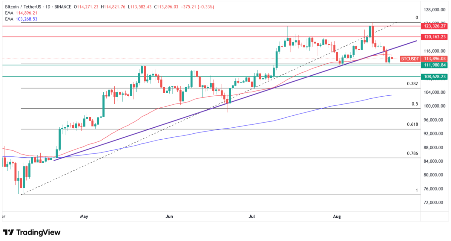 Why Bitcoin price is rebounding? Source: Tradingview.com
