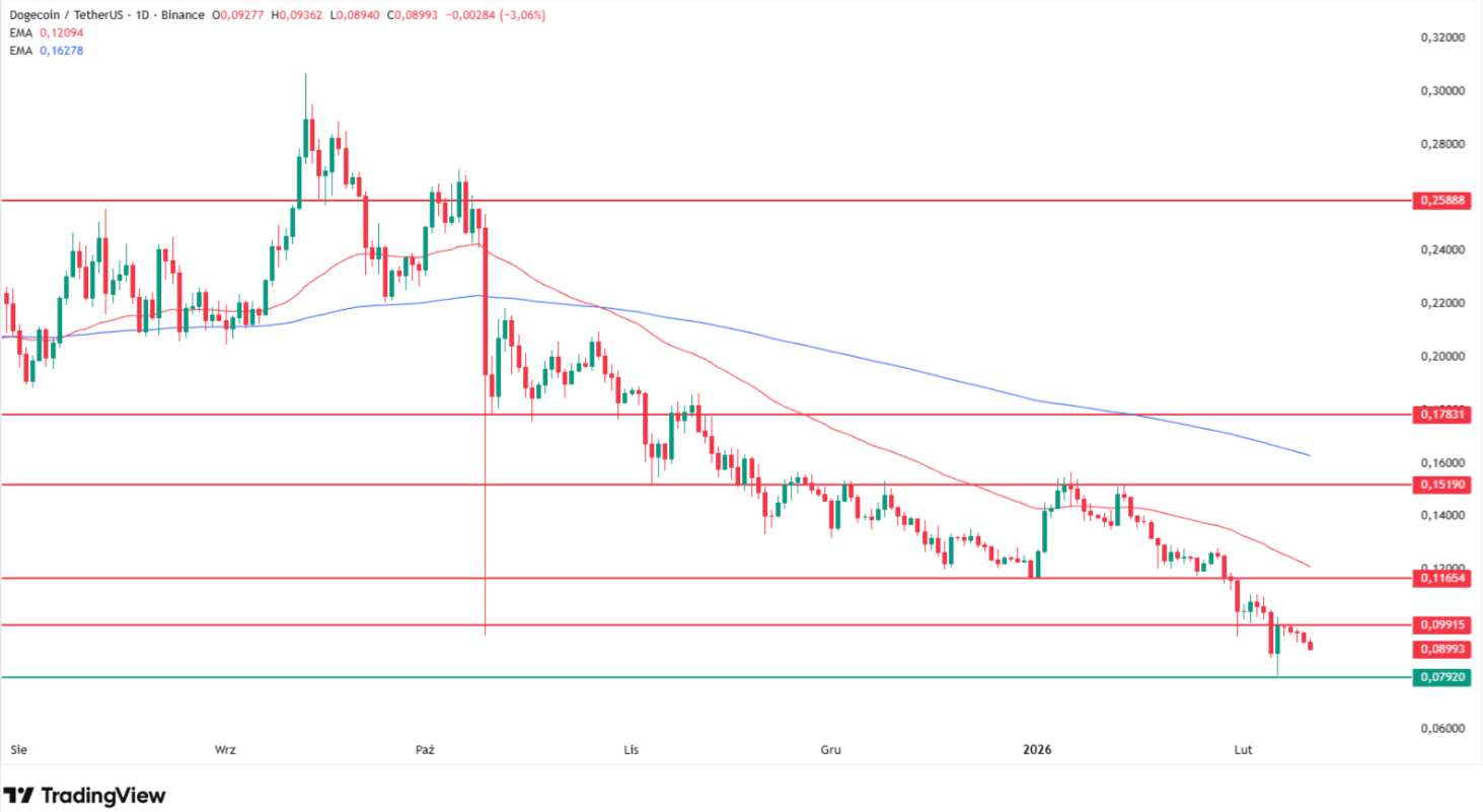 Why Dogecoin price is going down today? Source: Tradingview.com