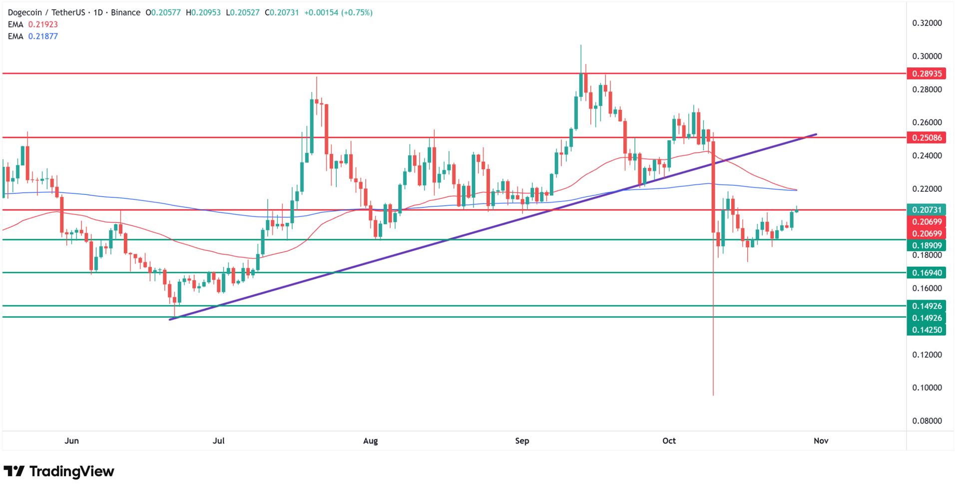 Why Dogecoin price is going up today? Source: Tradingview.com