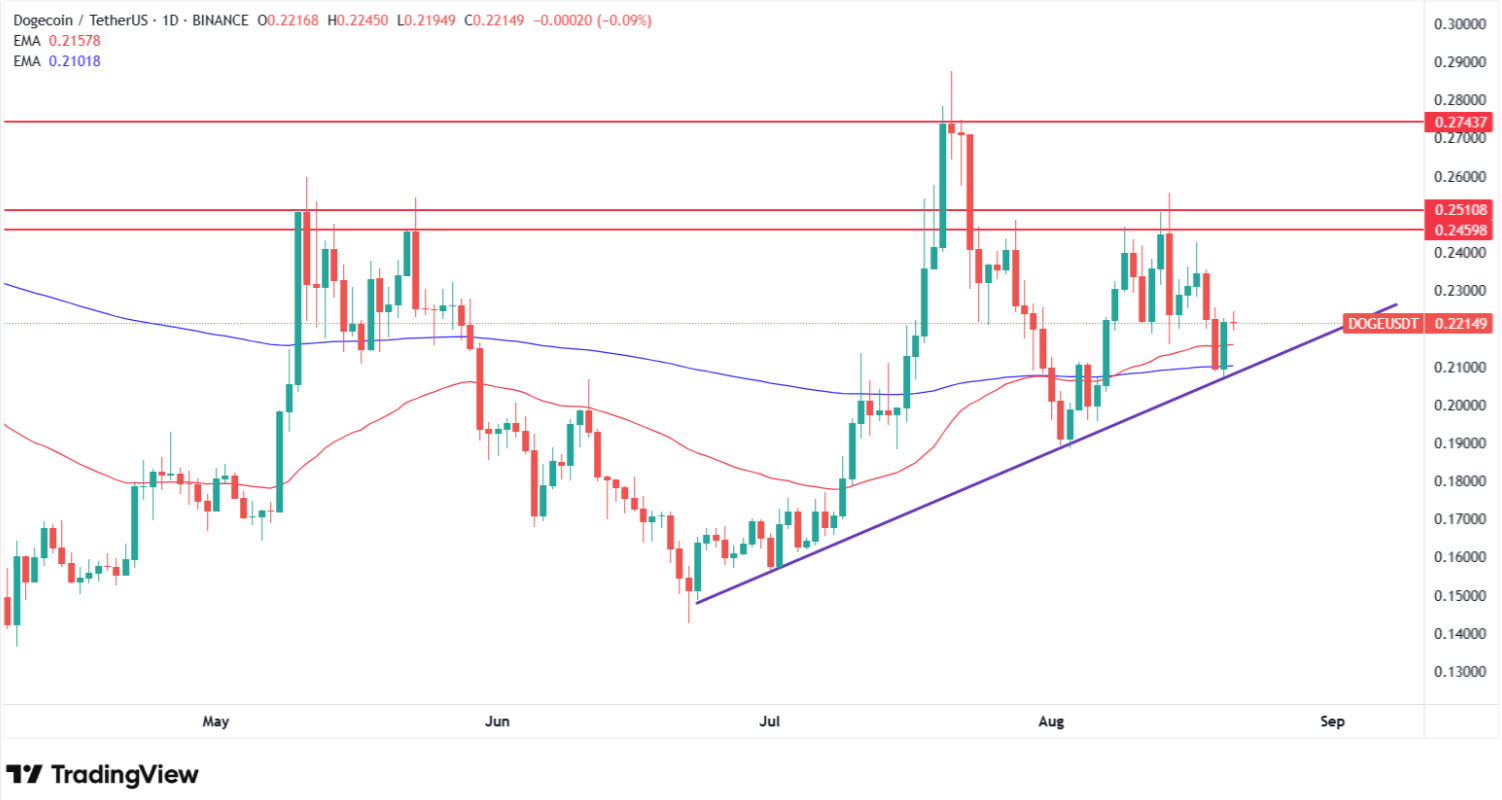 Why Dogecoin price is rebounding? Source: Tradingview.com