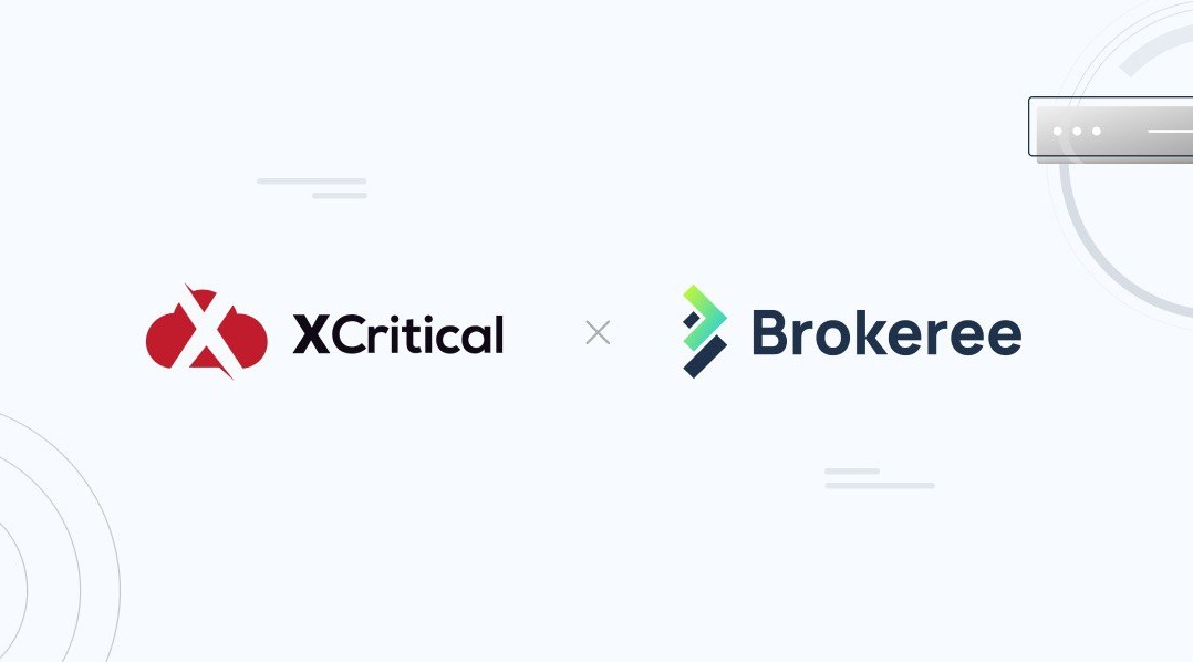 XCritical and Brokeree