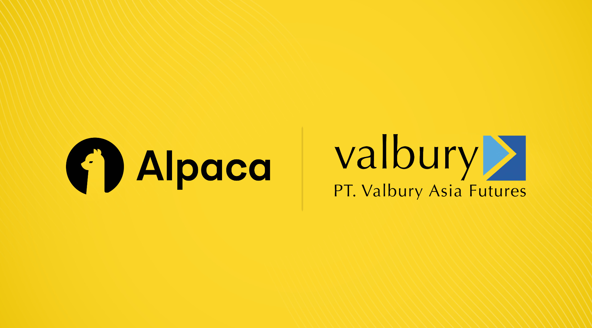 alpaca and valbury
