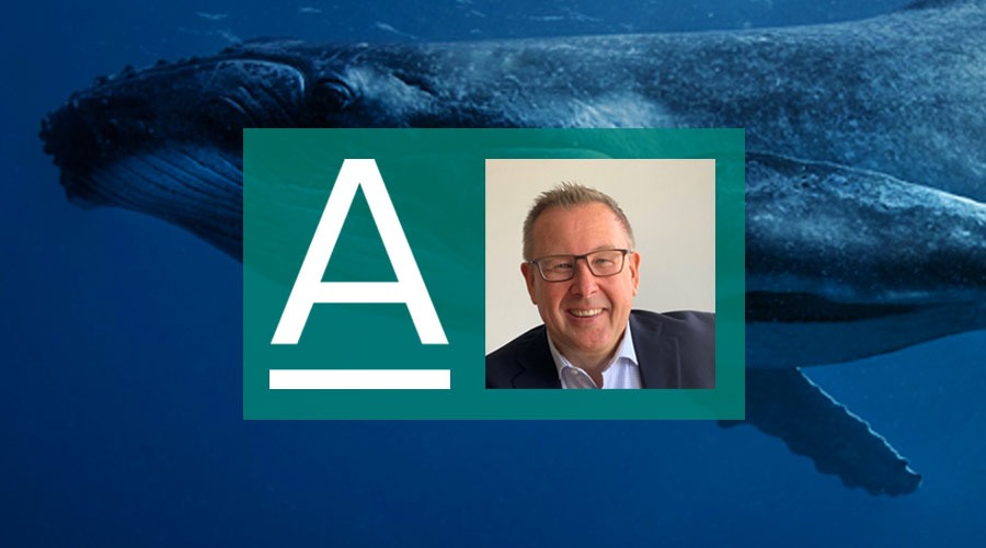 Alpha FX Nicholas Maton