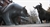 bear market