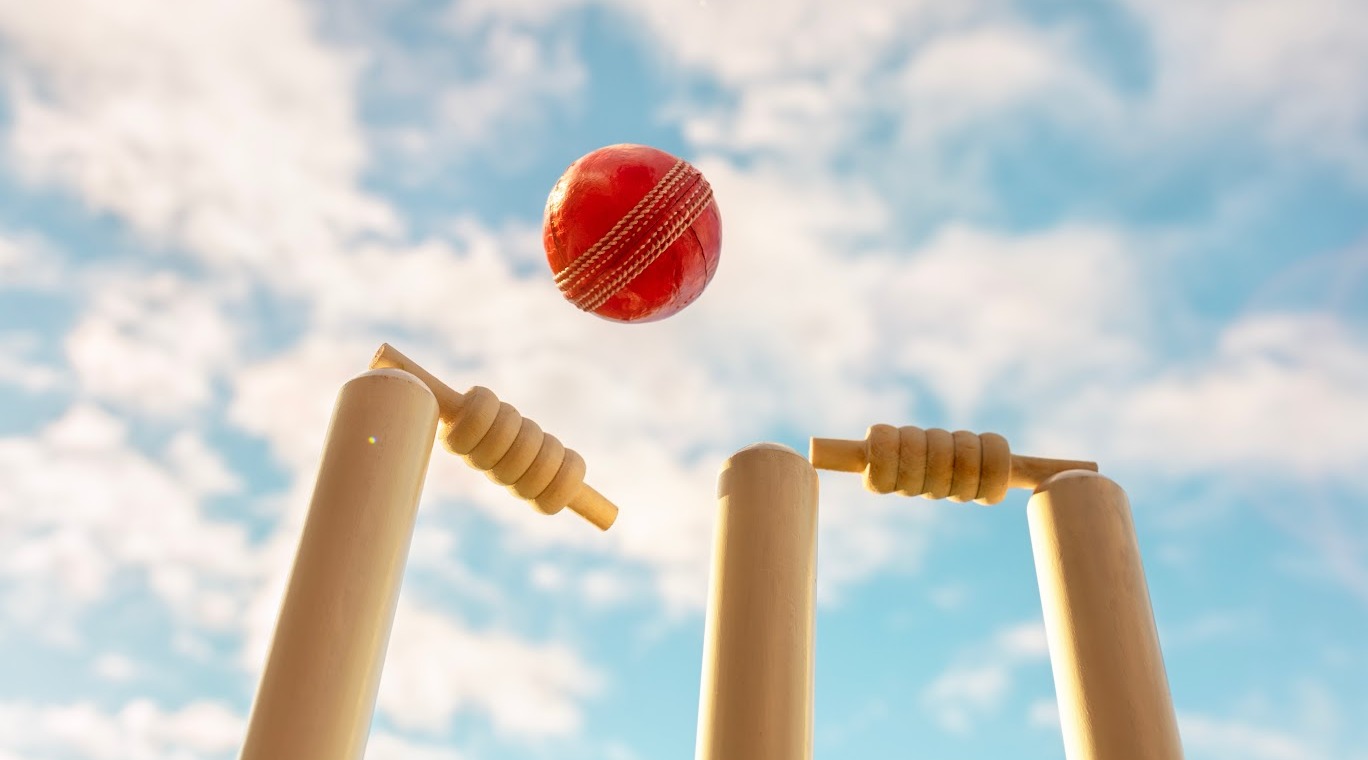 cricket Shutterstock