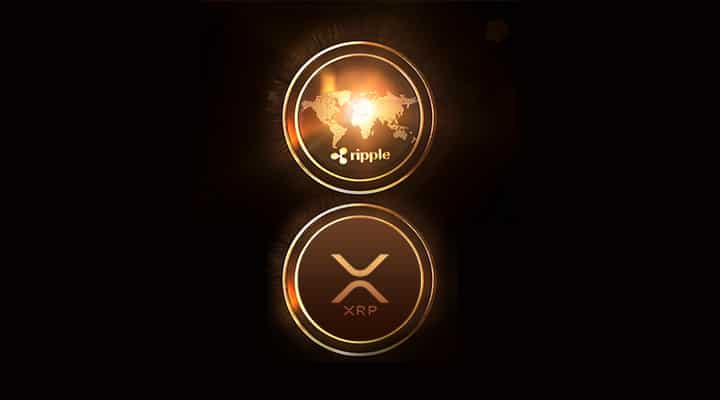 ripplr-vs-xrp