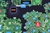 sandbox2