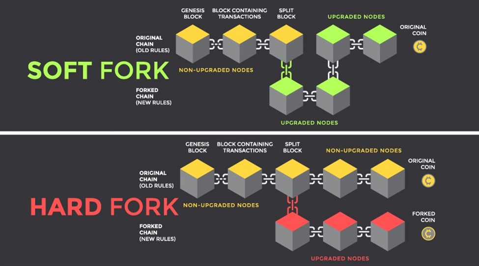 Soft Fork vs Hard Fork